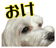 883627395