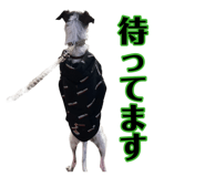 883627406