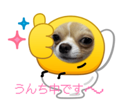 883627601