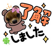 883627615