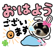 883627617