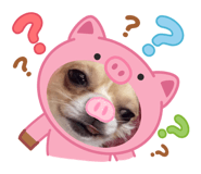 883627632