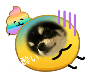 883627636