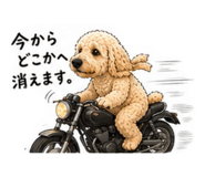 883629997