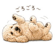 883630005