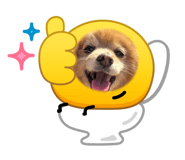 883633444