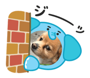 883633451