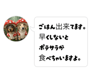 883633886