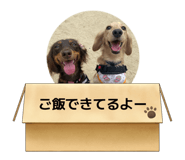 883633887
