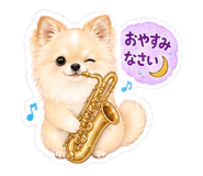 883635504