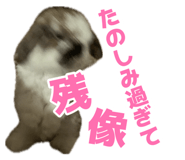 883635796