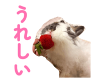 883635797