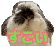 883635820