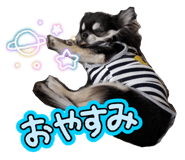 883638150