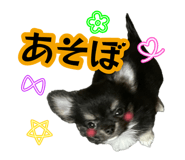 883638299