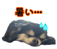 883638305