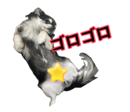883638307