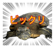 883640177