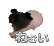 883640178