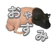 883640179