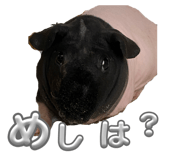 883640180