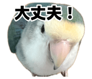 883649710
