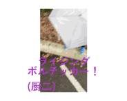 883650991
