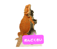 883675761