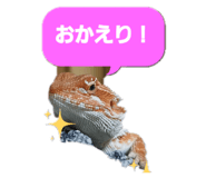 883675762