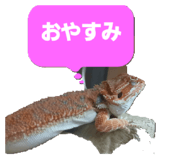 883675764