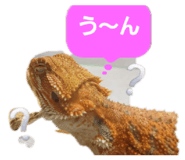 883675765