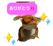 883675767