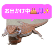 883675768
