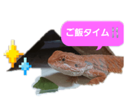 883675771