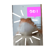 883675773