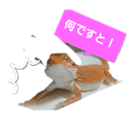 883675774