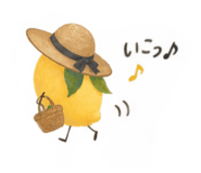 883685686