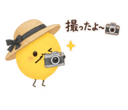 883685699