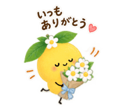 883685706