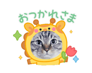 883687779