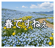 883716667