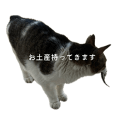 883720530