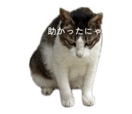 883720534