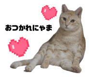 883726113