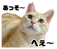 883726120