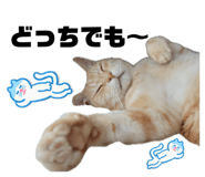 883726127