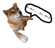 883730969