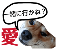 883730972