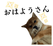 883730973