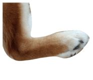 883730975